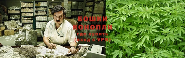 дмт Верея