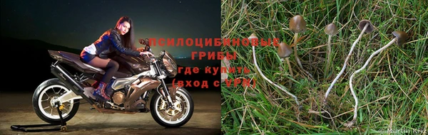mdpv Волоколамск