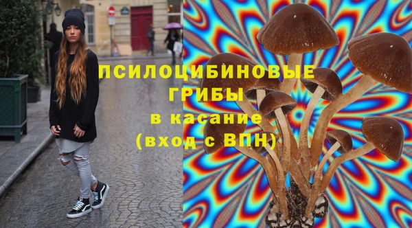 гидропоника Володарск
