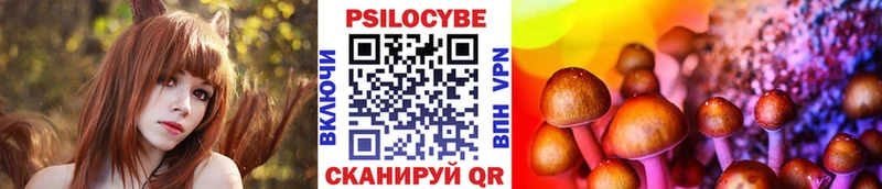 mega ссылки  Шагонар  Псилоцибиновые грибы Psilocybe 